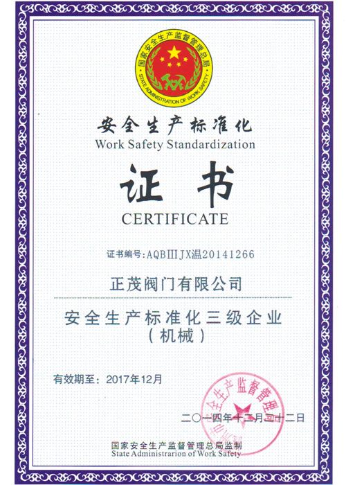 安全标准化企业证书